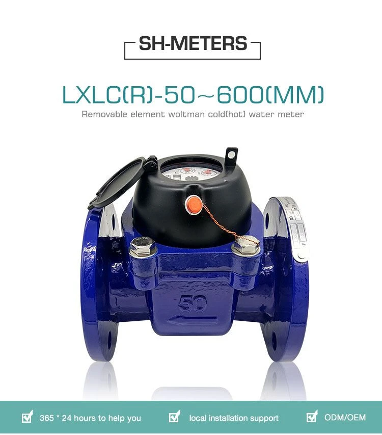 woltman water meter (2)