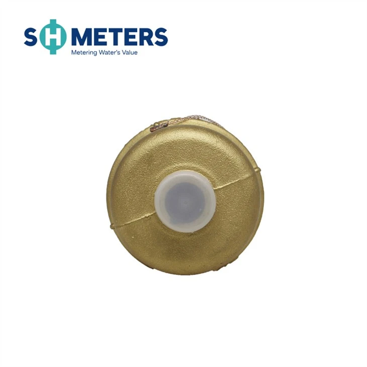 DN20 Small Size Body Brass Piston Volumetric Water Meter DN20 Small Size Body Brass Piston Volumetric Water Meter