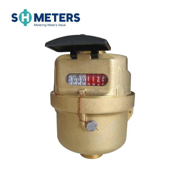 DN20 Small Size Body Brass Piston Volumetric Water Meter DN20 Small Size Body Brass Piston Volumetric Water Meter